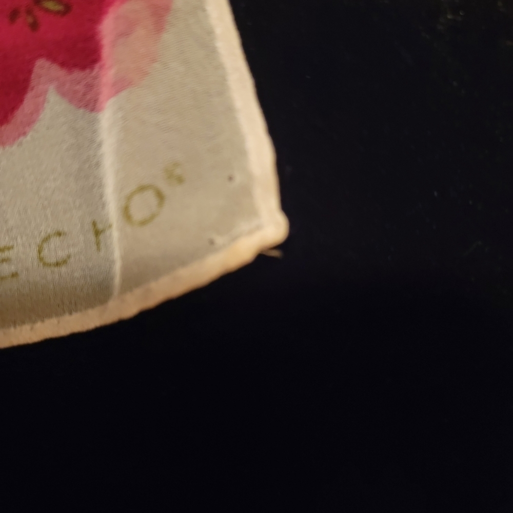 Echo Vintage Sheer Floral Scarf - Picture 4 of 6